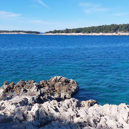 Apartment Jura Bilo Primošten Zewnętrze zdjęcie